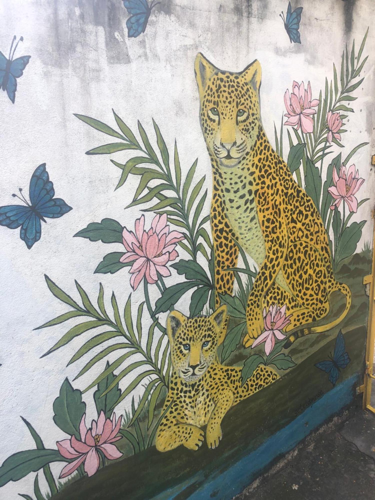 Onca Da Praia Hostel Vitória Kültér fotó