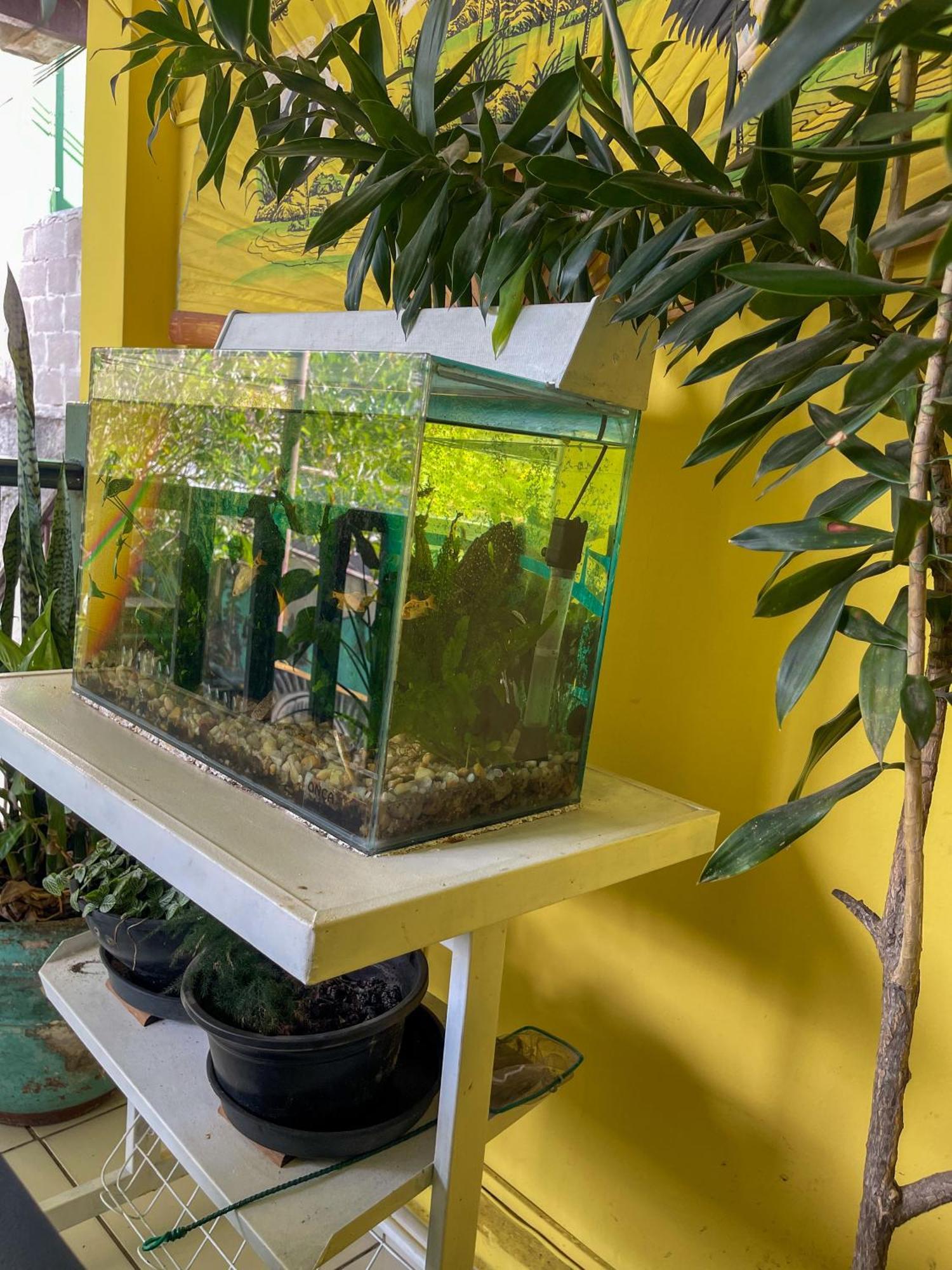 Onca Da Praia Hostel Vitória Kültér fotó